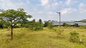 Plot Area in  Plot at Khambale – for Sale