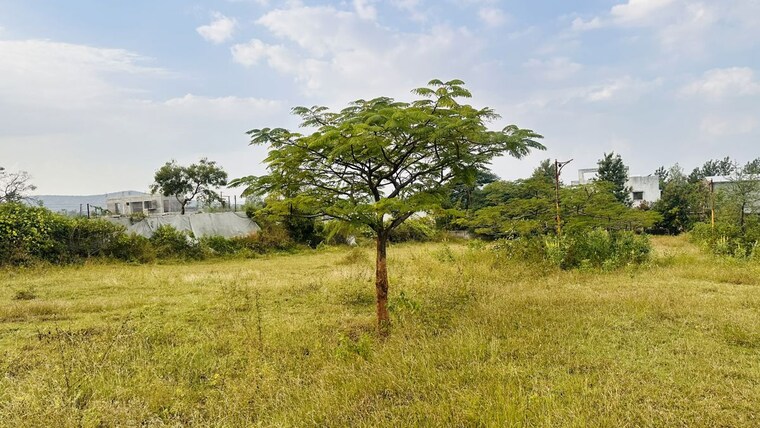 undefined, khambale  463 Sq.Ft. Plot In Khambale Nashik 10325608