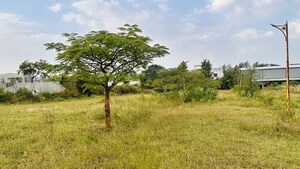  Plot – Garden View at Khambale - for Sale