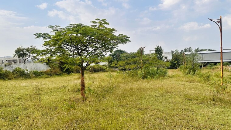 Garden, khambale  463 Sq.Ft. Plot In Khambale Nashik 10325608