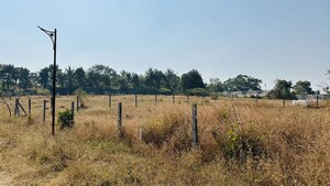 Plot Area in  Plot at Khambale – for Sale