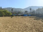 18000 Sq.Ft. Plot in Godrej Emerald