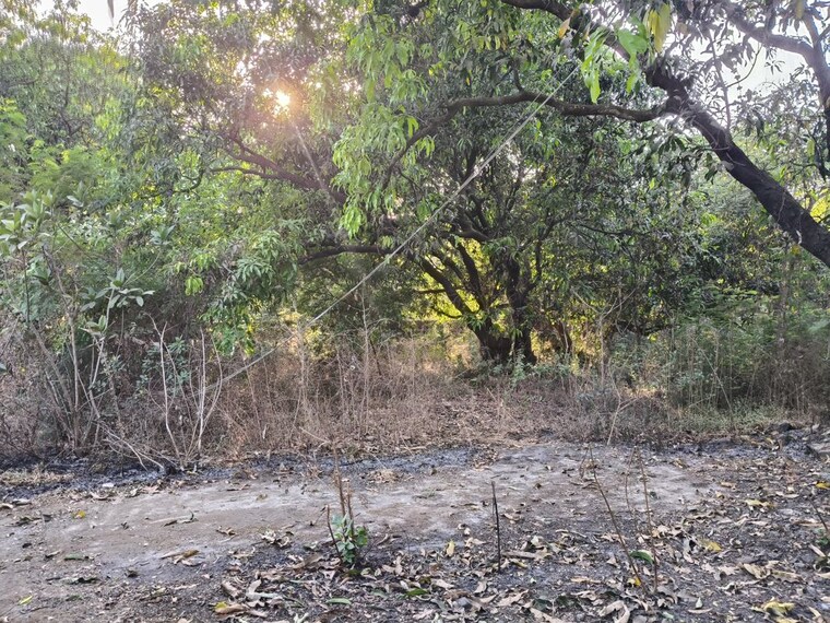 undefined, jvm-tiara  47000 Sq.Ft. Plot In Thane West Thane 10325635