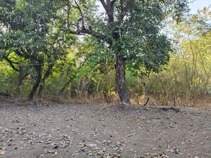  Plot For Sale in JVM Tiara, Thane West