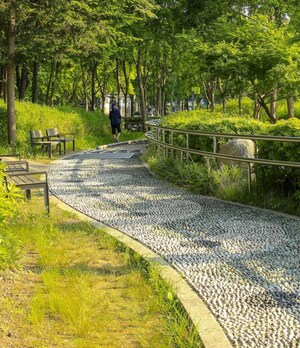 3 BHK Apartment – Garden View at AR Mirador, Wakad - for Sale