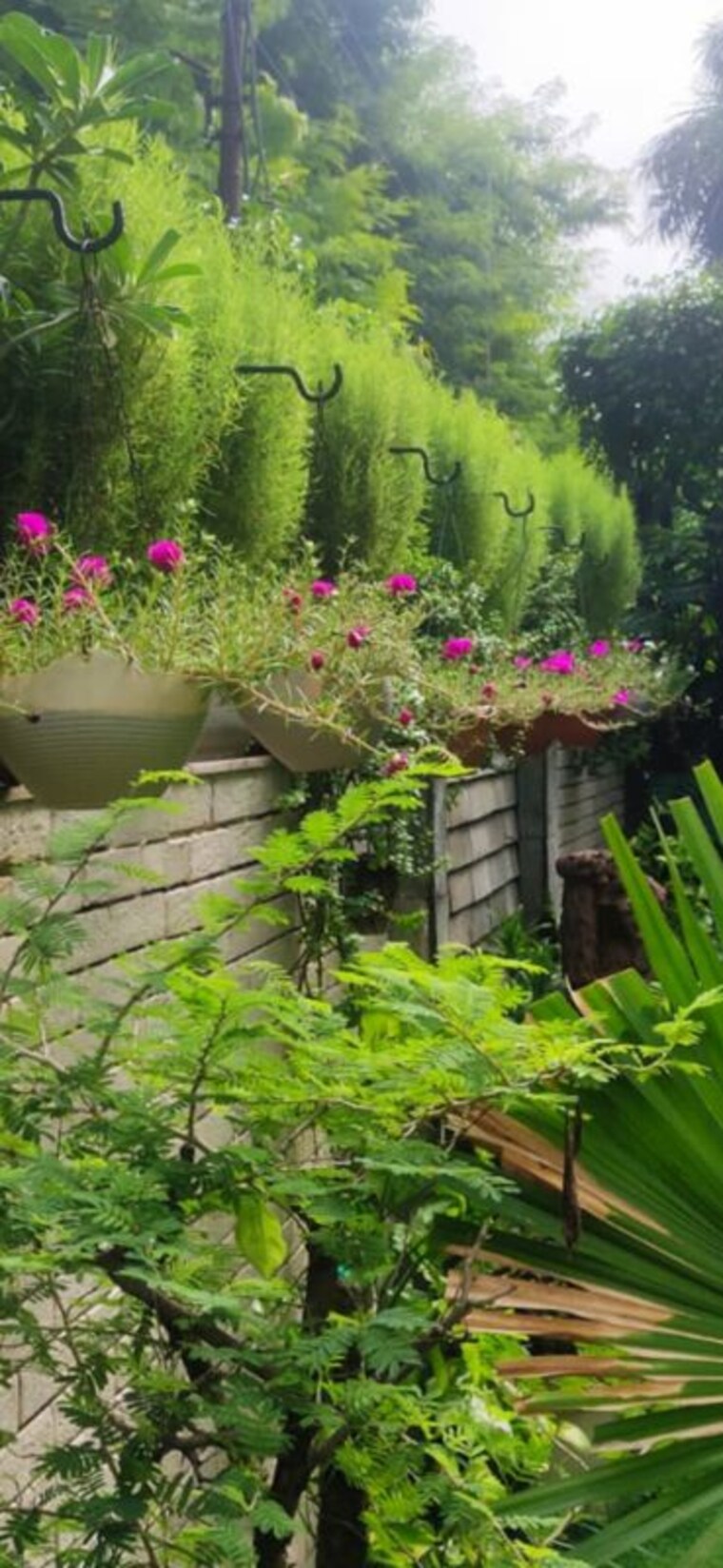 Garden, sector 130 6+ Bedroom 221 Sq.Ft. Independent House In Sector 130 Noida 10325703