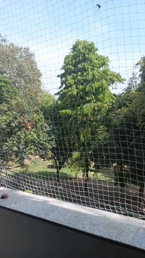 3 BHK Builder Floor For Rent in Lajpat Nagar I