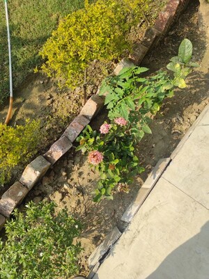 Master Plan in 6+ BHK Villa at Niralanagar – for Sale