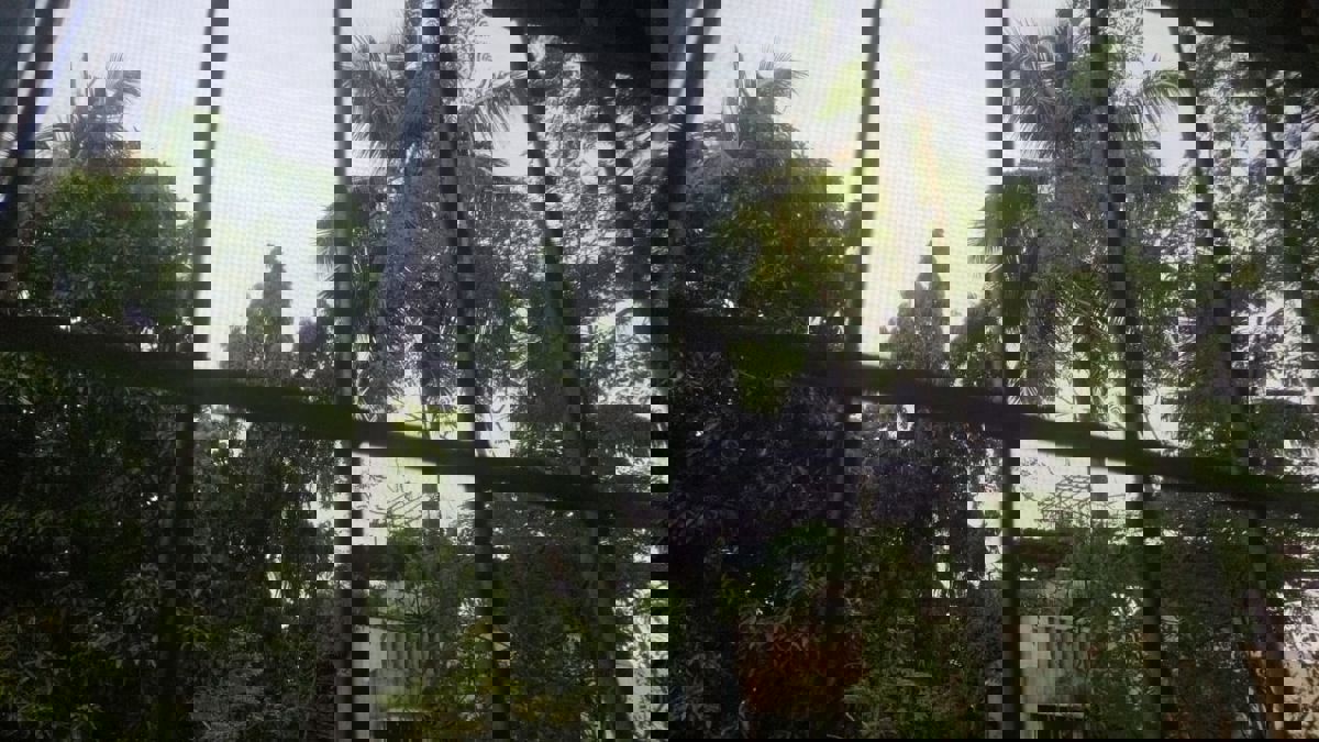 1 Rk  + Pooja Room,Study Room 350 Sq.Ft. Apartment in Safal Ganga