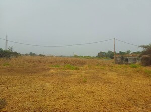 Plot Area in  Plot at Adai – for Sale