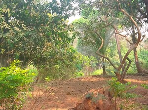  Land – Garden View at Karjat - for Sale