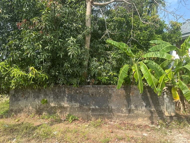 Garden, nellankara  3484 Sq.Ft. Plot In Nellankara Thrissur 10326585