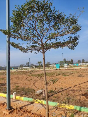 Plot Area in  Plot at Kanakapura – for Sale