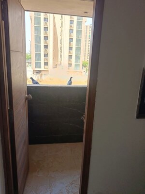 Laundry Area in 3 BHK Apartment at Zundal – for Rent