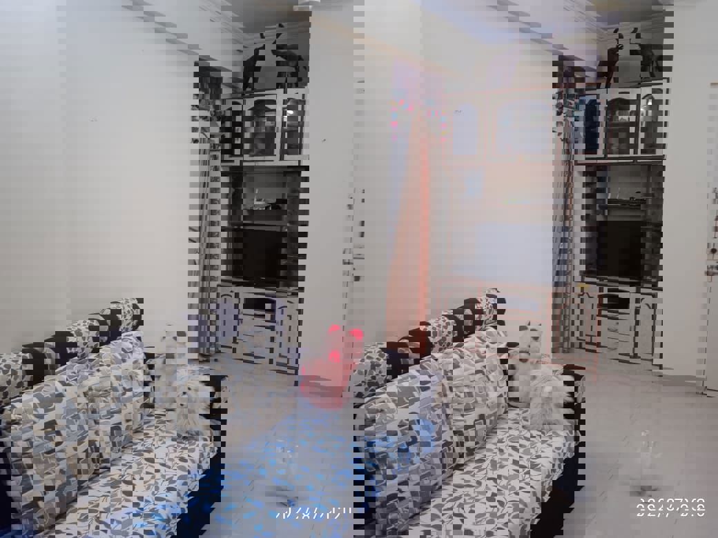 1 BHK 450 Sq.Ft. Apartment in Hubtown Greenwoods