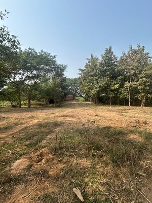  Industrial Plot For Rent in Balianta