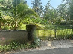 Plot For Sale in Cheroor