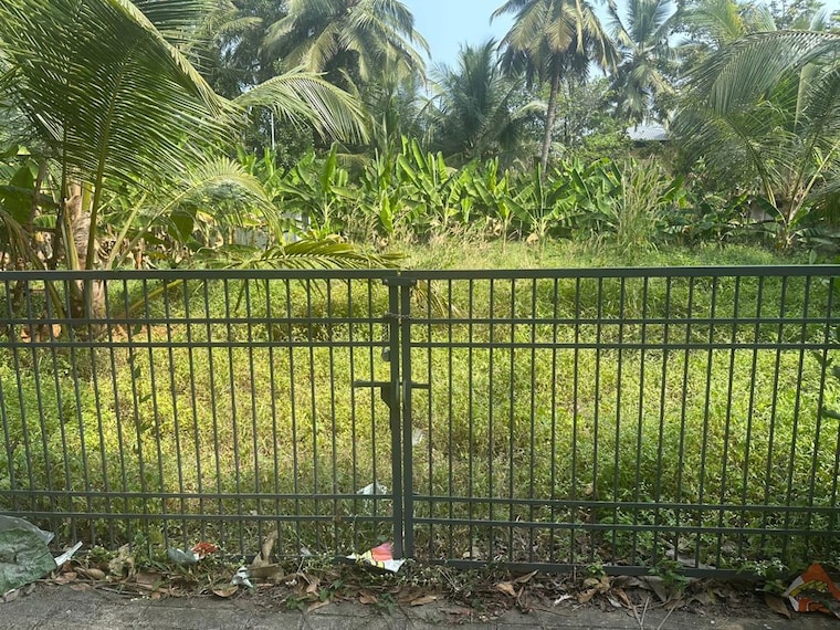 undefined, cheroor  3486 Sq.Ft. Plot In Cheroor Thrissur 10326831