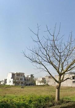Plot For Sale in Omaxe New Chandigarh
