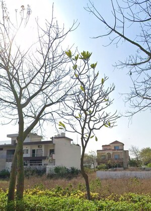  Plot – Exterior View View at Omaxe New Chandigarh, North Mullanpur - for Sale