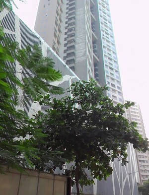 2 BHK Apartment For Sale in Siddha Seabrook, Kandivali West