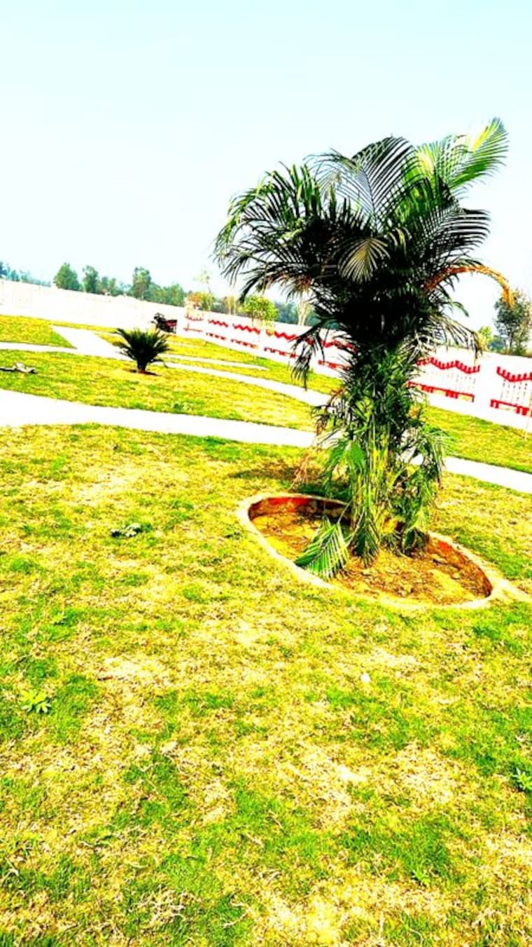 Garden, krishna-iscon-valley  1575 Sq.Ft. Plot In Gosainganj Lucknow 10327335