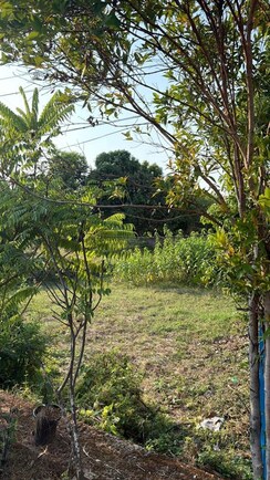 Plot For Sale in Chembukkavu