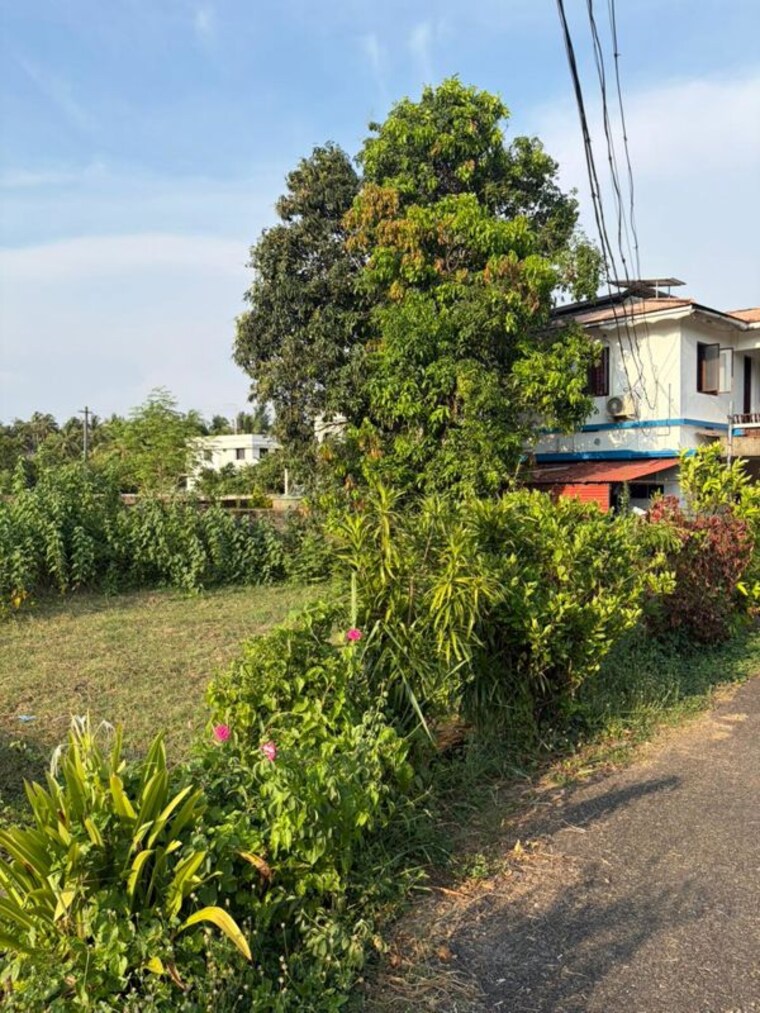 Exterior View, chembukkavu  3920 Sq.Ft. Plot In Chembukkavu Thrissur 10327464