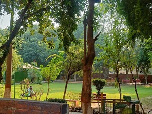 Studio Builder Floor – Garden View at Sector 47 - for Rent