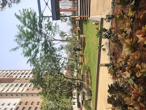 2 BHK Apartment For Rent in Rajapushpa Provincia, Narsingi