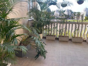 2 BHK Apartment – Exterior View View at Omaxe The Resort, South Mullanpur - for Sale