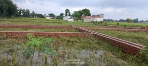 Plot Area in  Plot at Jamui – for Sale
