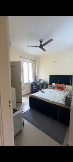2 BHK Apartment For Rent in Orchid Island