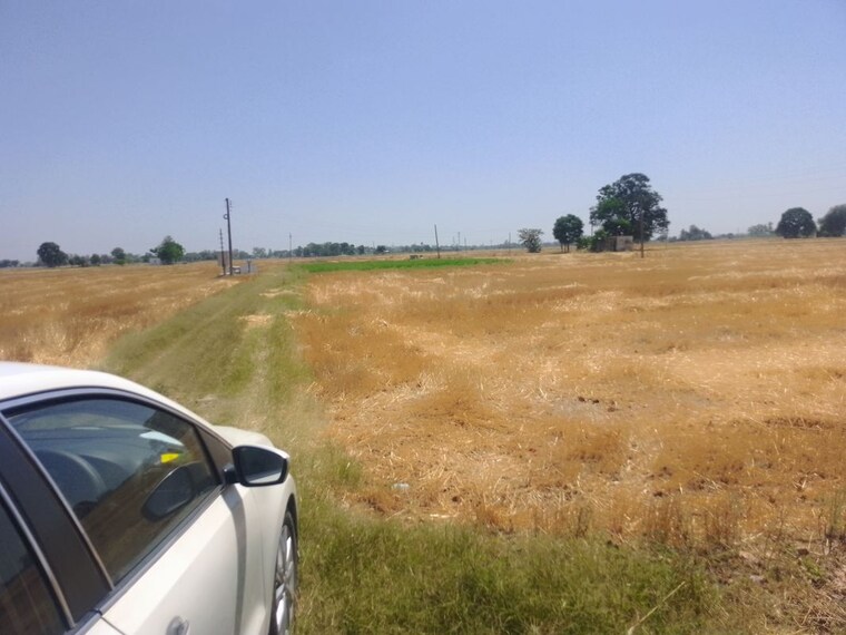 undefined, kharar mohali road Commercial Land 4 Acre In Kharar Mohali Road Kharar 10324149