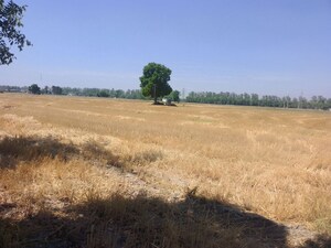 Plot Area in  Land at Kharar Mohali Road – for Sale