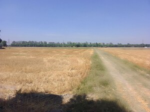 Plot Area in  Land at Kharar Mohali Road – for Sale