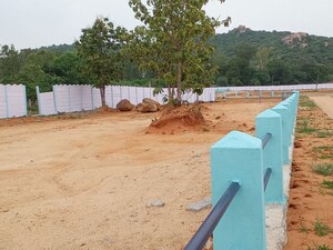 Plot Area in  Plot at Amangal – for Sale