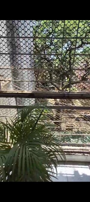 Balcony in 1 BHK Apartment at Vakola – for Rent