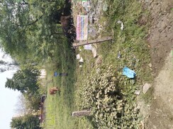 Plot For Sale in Bagmugaliya
