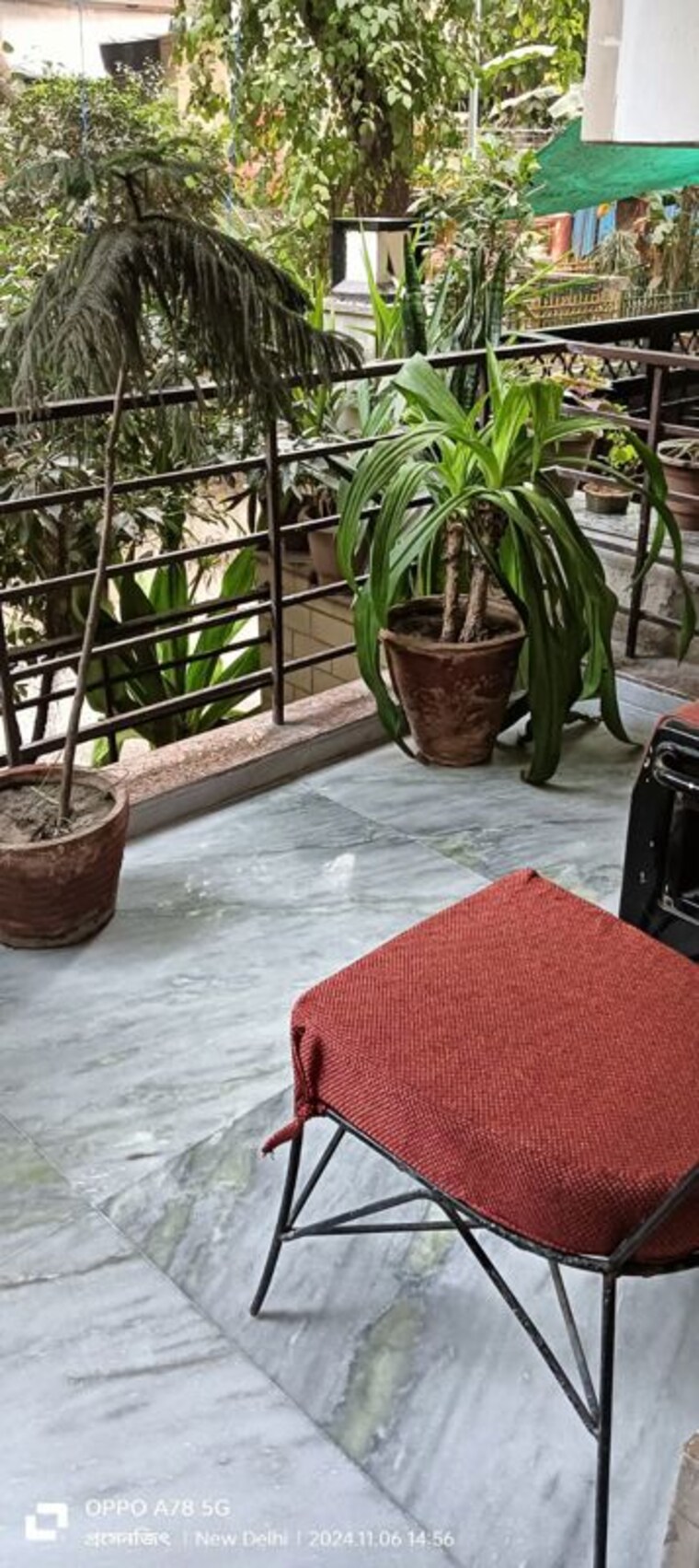 Balcony, chittaranjan park 2 Bedroom 125 Sq.Yd. Builder Floor In Chittaranjan Park Delhi 10328624