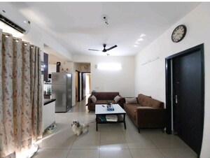 Living Room in 3 BHK Apartment at Gulshan Vivante, Sector 137 – for Sale