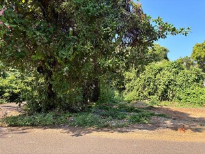  Plot For Sale in Dona Paula