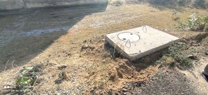   Plot at Rps Palms, Sector 88 – for Sale