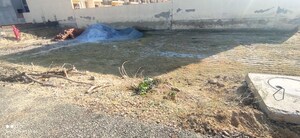 Plot Area in  Plot at Rps Palms, Sector 88 – for Sale