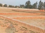 1175 Sq.Ft. Plot in Sai Valley
