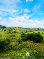 3 BHK 1015 Sq.Ft. Builder Floor in Gahunje