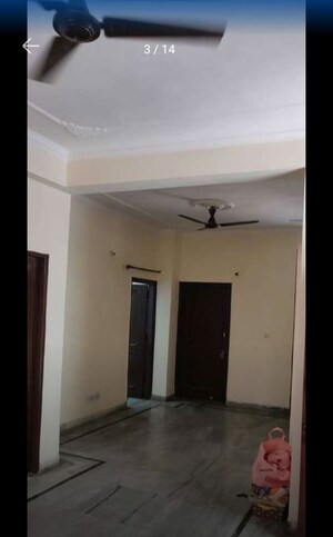 Room in 2 BHK Builder Floor at Sector 50 – for Rent