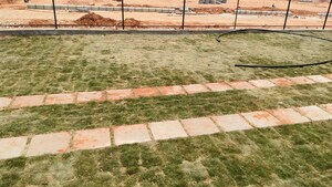 Plot Area in  Plot at Shadnagar – for Sale