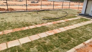 Plot Area in  Plot at Shadnagar – for Sale