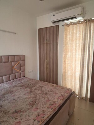 1 BHK Apartment For Rent in Sushma Chandigarh Grande, Lohgarh